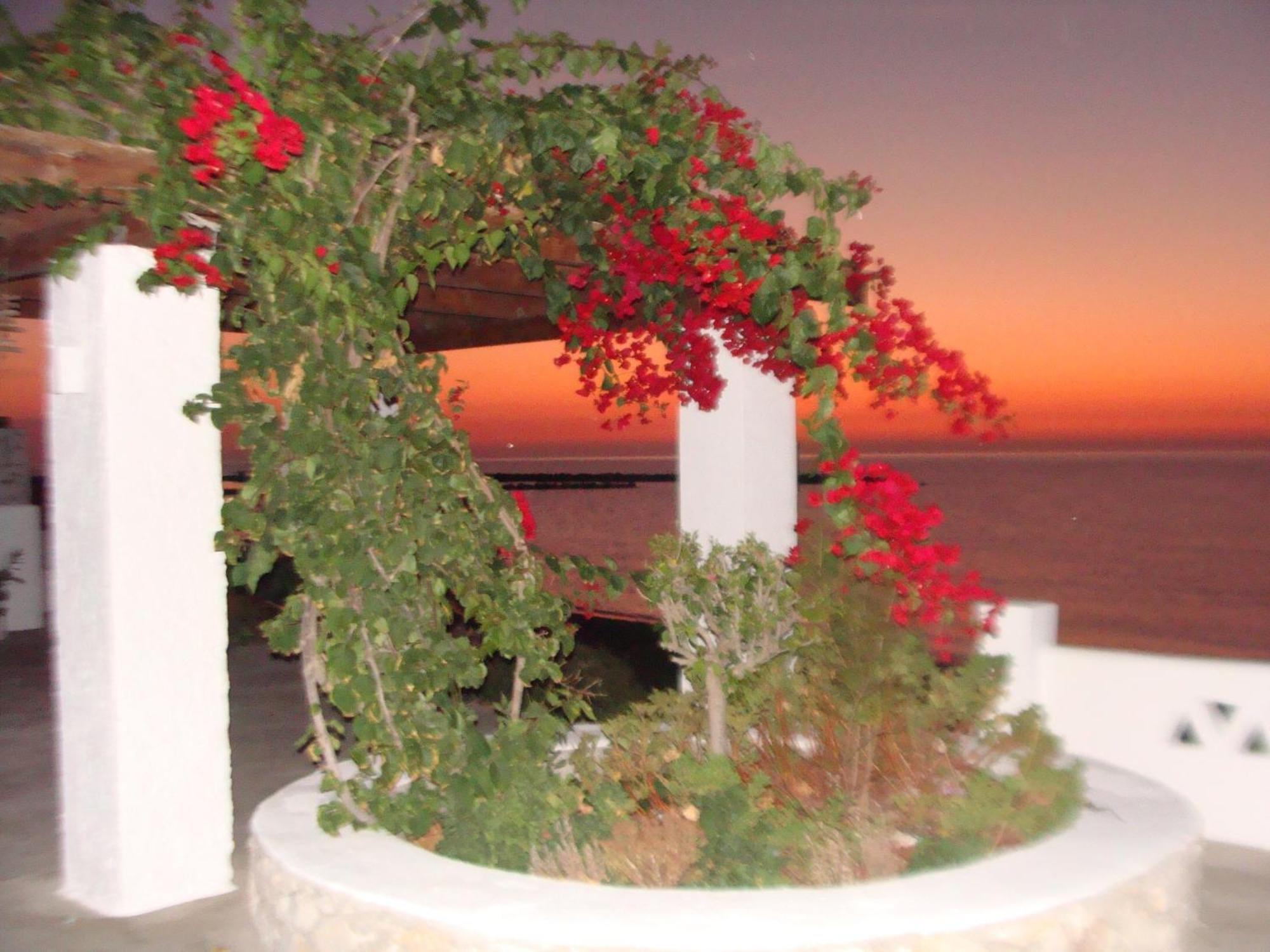 Παραθιν Αλοσ 2 Apartment Skyros Luaran gambar